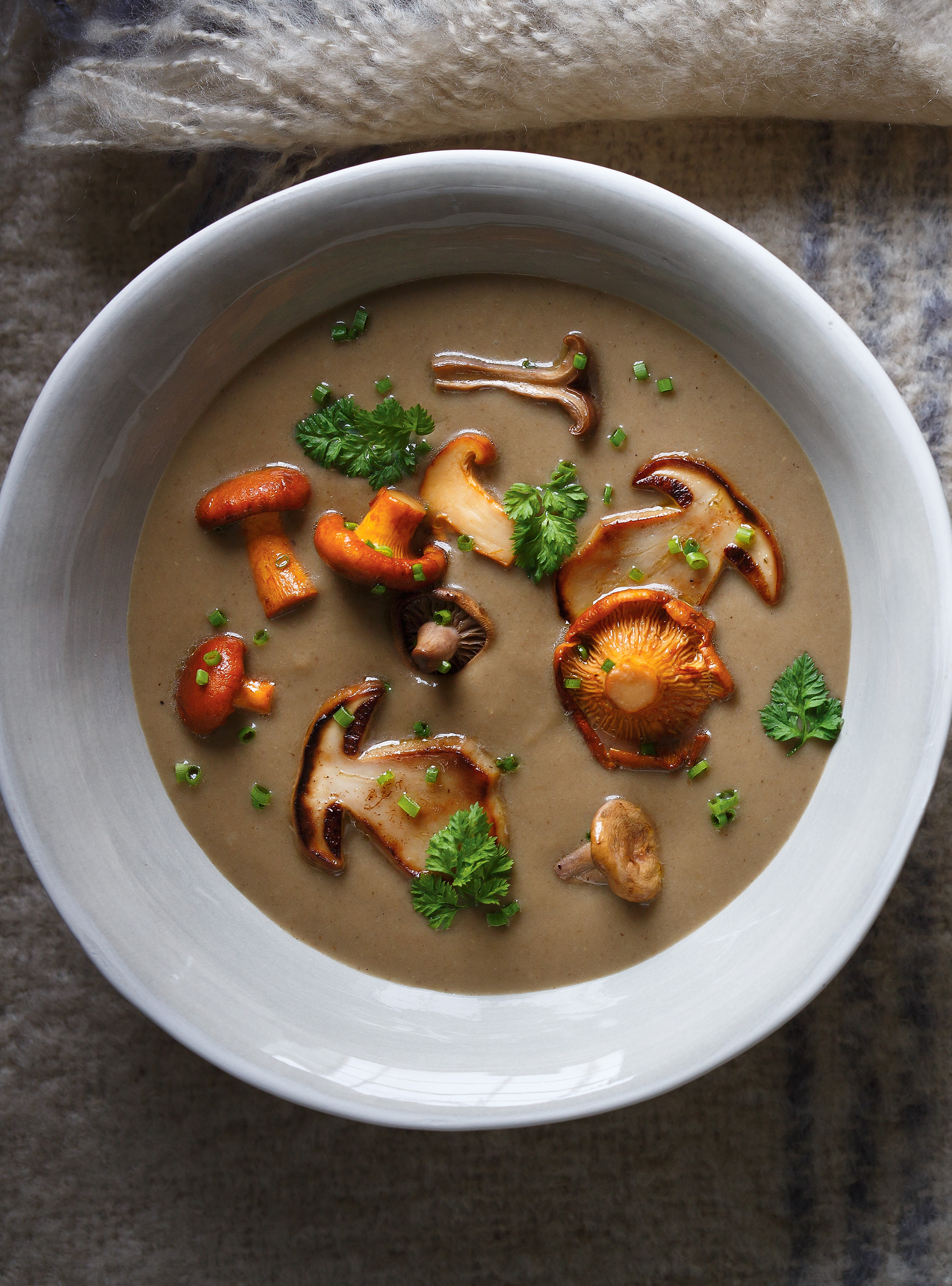 Cream of Wild Mushroom Soup